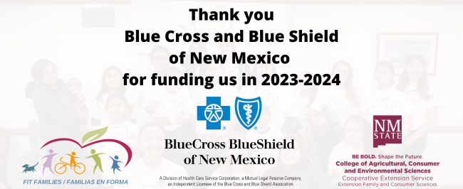 A Thank you Banner. The message thanks Blue Cross and Blue Shield of New Mexico for funding Fit Families.