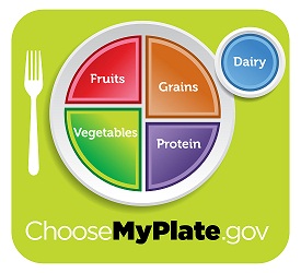 Image of MyPlate food group recommendations