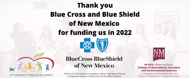 A Thank you Banner. The message thanks Blue Cross and Blue Shield of New Mexico for funding Fit Families. 